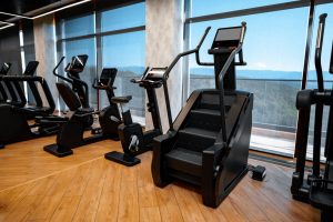 exercise machines - stair climbers equipment